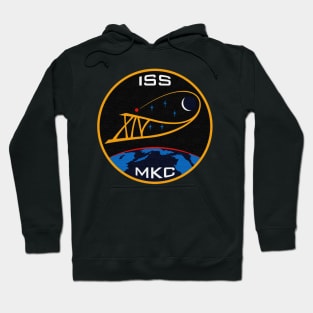 Black Panther Art - NASA Space Badge 146 Hoodie